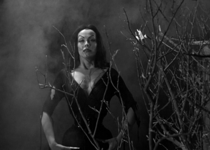 Maila Nurmi in Plan 9 from Outer Space (1959)